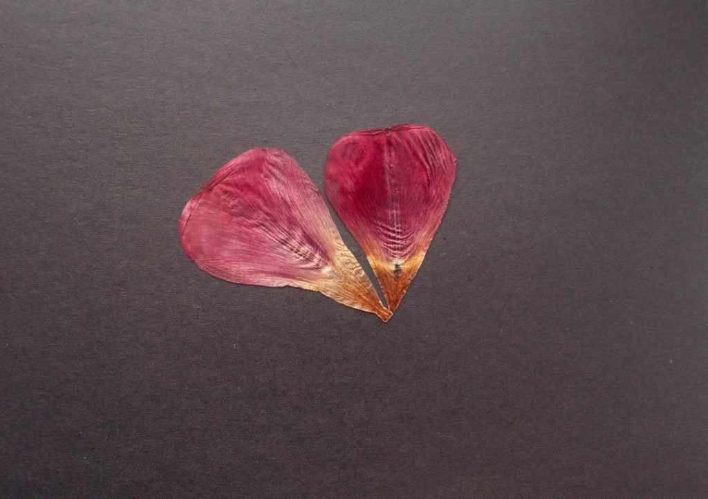 breakup-kindly-honest